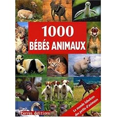 1000 Bebes Animaux