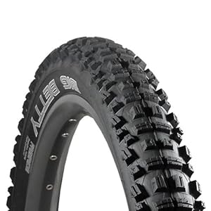 schwalbe mountain bike tires 26