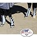 Professionals Choice Fly Boots