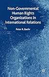 Non-governmental human rights organizations in international relations