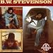 Lead Free: Bw Stevenson