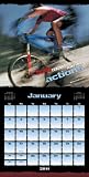 Dare To Succeed 2011 Wall Calendar