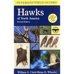 A Field Guide to Hawks of North America
