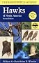 A Field Guide to Hawks of North America