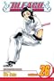 Bleach, Vol. 26