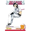 Bleach, Vol. 26