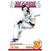 Bleach, Vol. 26