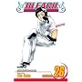 Bleach: v. 26 (Bleach (Graphic Novels))