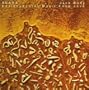 Suara: Environmental Music From Java