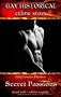 Secret Passions - Opfer der Leidenschaft: gay historical crime story