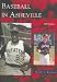 Books : Baseball in Asheville