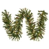 Pack of 2 Pre-Lit Country Artificial Christmas Garlands 9' x 12 - Clear Lights