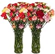 California Mini-Carnations Flower Bouquet - Free Fast Shipping - Double Bouquet - 50 Stems