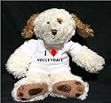Plush Dog (Dog Tired) toy with I Love Volleyball