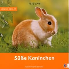 Kaninchen Postkartenkalender 2008