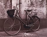 Bicycle With Wicker Basket: Francisco Fernandez. 10.00 inches by 8.00 inches. Best Quality Art Print Poster