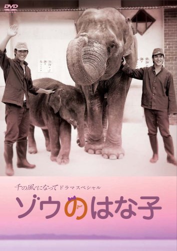 千の風になってドラマスペシャル 「ゾウのはな子」 [DVD]