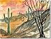 Arizona Evening by Derek McCrea - Ceramic Tile Mural 18 x 24 Backsplash
