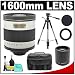 Rokinon 800mm Multi-Coated Mirror Lens with 2x Teleconverter (=1600mm) + Tripod + Case + Accessory Kit for Canon EOS Rebel XSi, XS, XTi, XT, 5D, 30D, 40D & 50D Digital SLR Cameras