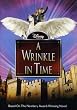 A Wrinkle In Time