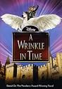 A Wrinkle in Time