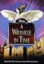 A Wrinkle In Time