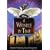 A Wrinkle in Time
