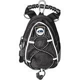 Georgia Southern Eagles NCAA Mini Day Pack