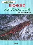 川の王さまオオサンショウウオ (ドキュメント地球のなかまたち)