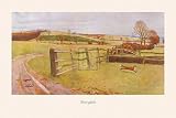 Berrydale by Cecil Aldin. Size 26.00 X 14.00 Art Poster Print