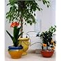 IRISO WATERING KIT - 3 DRIPPERS FOR 5 LTR BOTTLE