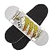 P-REP Starter Complete Wooden Fingerboard 30mm x 100mm - Tres Taco