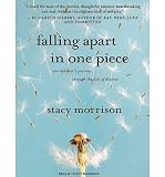 Falling Apart in One Piece: One Optimists Journey Through the Hell of Divorce