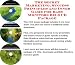 The Secret Marketing, Success Principles and Inner Game for Baby Monitors Biz 3 CD Package
