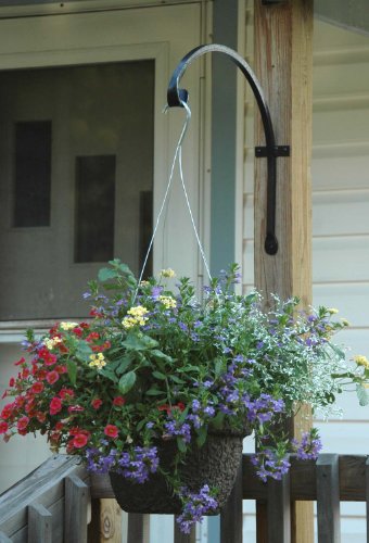 Hookery D-16 B19 12 Inch upturned Angled Hanger