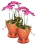 OSD Audio PS520 Terra Cotta Planter Speaker (Pair)