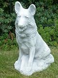 Eigenschaften JS GartenDeko e.K.  / Deko Figur Schäferhund H 41 cm Tierskulptur aus Beton