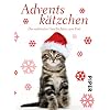 Adventsk�tzchen: Die sch�nsten Geschichten zum Fest