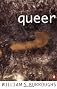 Queer