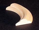 1/2" Single Bead Long Beech Corner Curve [CAPITOL CITY LUMBER]