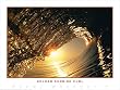 Woody Woodworth "Golden Sunrise Curl" Surfing Poster