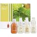 Jurlique Rebalance Oiliness Kit ($70 Value) Rebalance Oiliness Kit