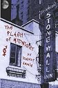 The Flash of Midnight
