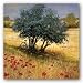 Kitchen & Housewares : Under The Tree by Steve Thoms 24"x24" Art Print Poster