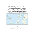 The 2007 Report on Burned and Unburned Magnesite-Chrome, Chrome-Magnesite, and High Fires Brick and Chrome Brick: World Market Segmentation by City