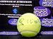 Yannick Noah Autographed/Hand Signed Tennis Ball