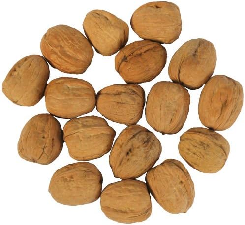 Great Companions in Shell Walnuts, Bird Treat- 25 lbs