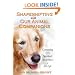 Shapeshifting With Our Animal Companions: Reconnecting with the Spiritual Awareness of Animals