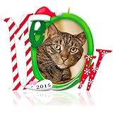 Hallmark Keepsake Ornament: The Cat's Meow Photo Frame-Holder