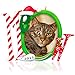 Hallmark Keepsake Ornament The Cat's Meow Photo Frame Holder